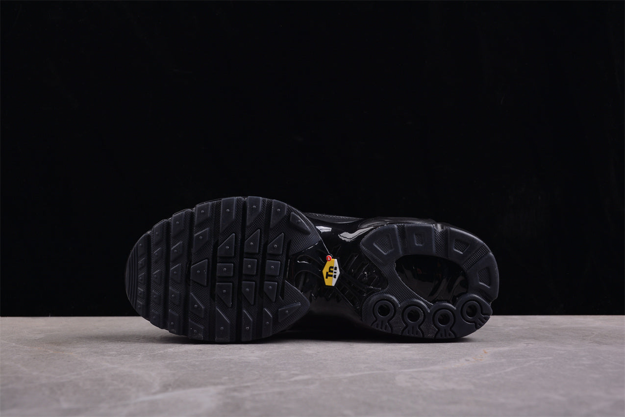 Nike Air Max plus Tn All black