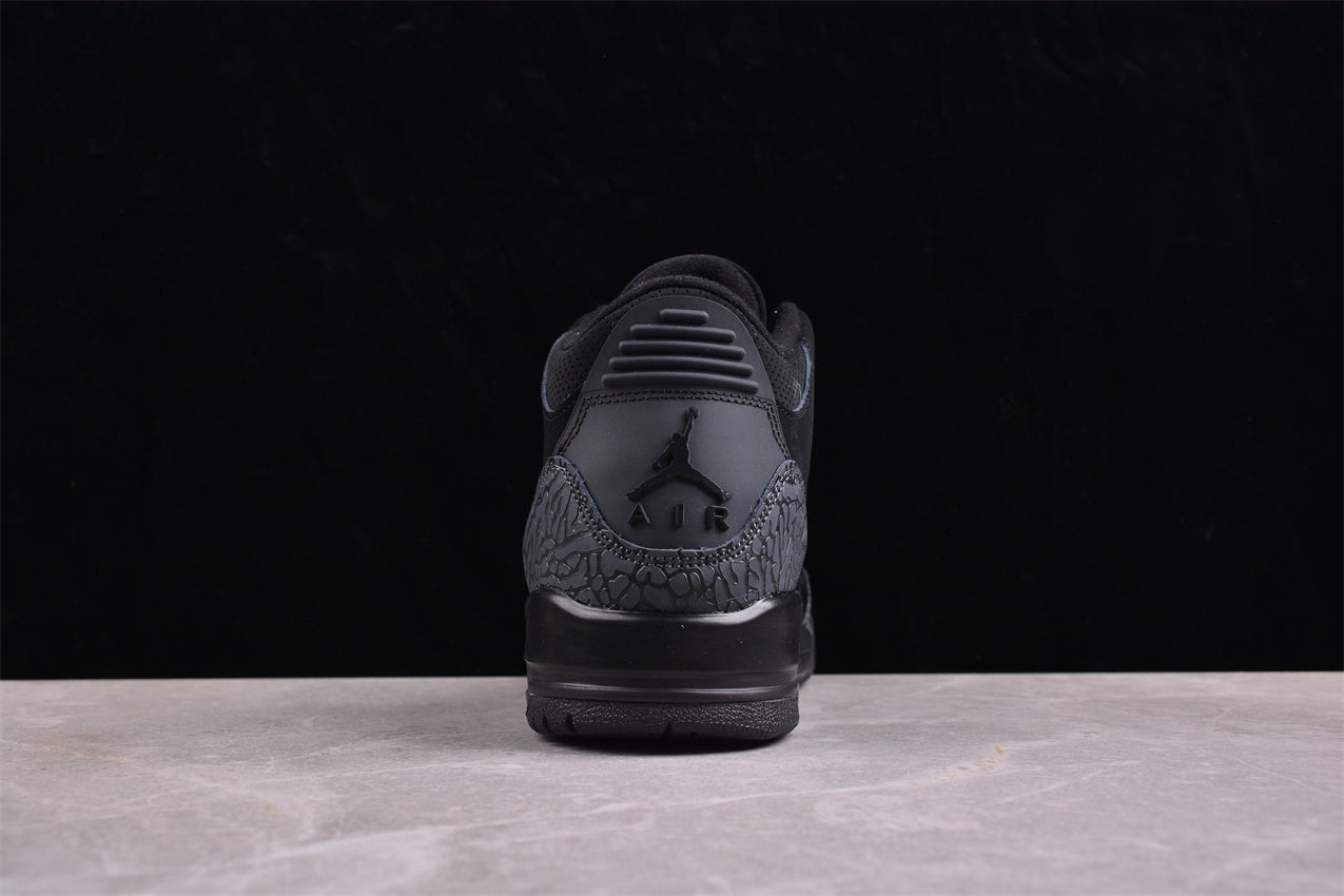 Air Jordan 3 Black Cat